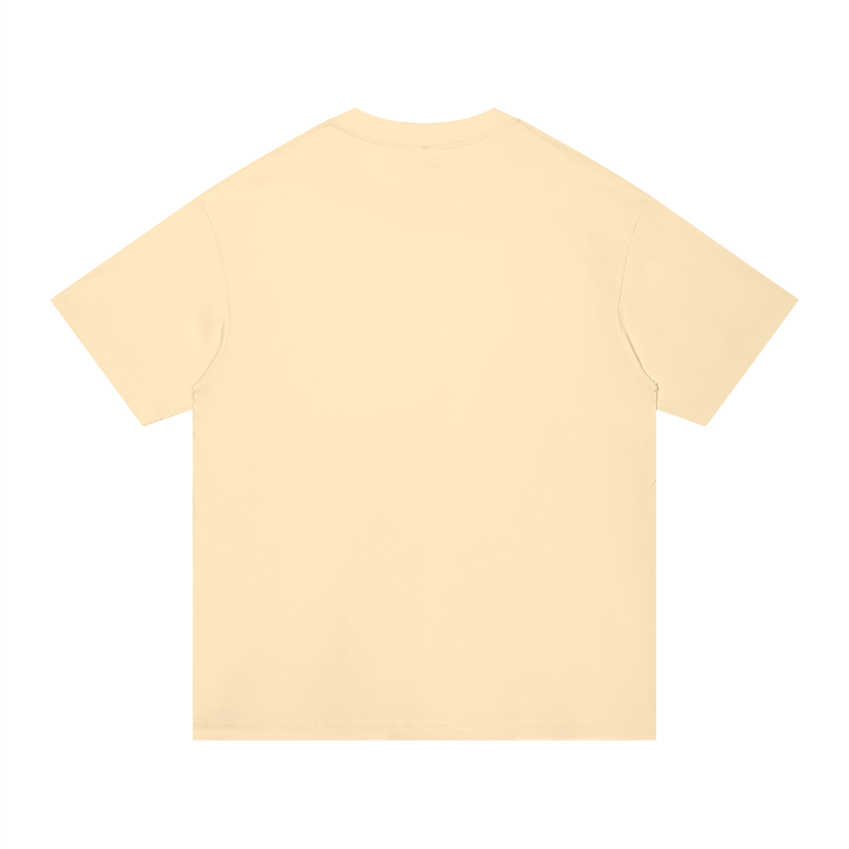Unisex Regular Fit Cotton T-Shirt